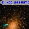 Cl* NGC 1978    WBT    2902