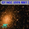 Cl* NGC 1978    WBT    2916