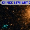 Cl* NGC 1978    WBT    2917