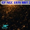 Cl* NGC 1978    WBT    2942