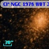 Cl* NGC 1978    WBT    2951