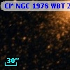 Cl* NGC 1978    WBT    2953