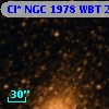 Cl* NGC 1978    WBT    2955