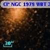 Cl* NGC 1978    WBT    2973