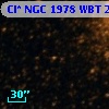 Cl* NGC 1978    WBT    2974
