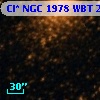 Cl* NGC 1978    WBT    2975