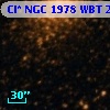 Cl* NGC 1978    WBT    2977