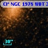 Cl* NGC 1978    WBT    2985