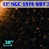 Cl* NGC 1978    WBT    2988