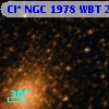 Cl* NGC 1978    WBT    2991