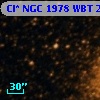 Cl* NGC 1978    WBT    2993