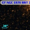 Cl* NGC 1978    WBT    3005