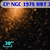 Cl* NGC 1978    WBT    3007