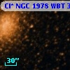 Cl* NGC 1978    WBT    3016