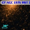 Cl* NGC 1978    WBT    3017
