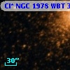Cl* NGC 1978    WBT    3020