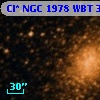 Cl* NGC 1978    WBT    3044