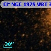 Cl* NGC 1978    WBT    3047