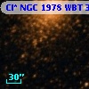 Cl* NGC 1978    WBT    3053