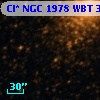 Cl* NGC 1978    WBT    3055
