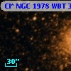 Cl* NGC 1978    WBT    3071