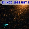 Cl* NGC 1978    WBT    3077