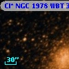 Cl* NGC 1978    WBT    3101