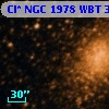 Cl* NGC 1978    WBT    3103