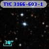 TYC 3166-603-1