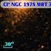 Cl* NGC 1978    WBT    3111