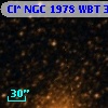 Cl* NGC 1978    WBT    3113