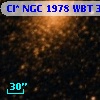 Cl* NGC 1978    WBT    3116