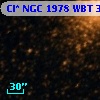 Cl* NGC 1978    WBT    3127
