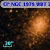 Cl* NGC 1978    WBT    3128