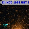 Cl* NGC 1978    WBT    3130