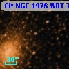 Cl* NGC 1978    WBT    3131
