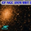 Cl* NGC 1978    WBT    3135