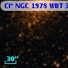 Cl* NGC 1978    WBT    3137