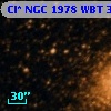 Cl* NGC 1978    WBT    3141