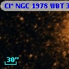 Cl* NGC 1978    WBT    3146