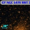 Cl* NGC 1978    WBT    3149