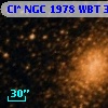Cl* NGC 1978    WBT    3155