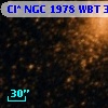 Cl* NGC 1978    WBT    3174