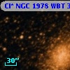 Cl* NGC 1978    WBT    3181