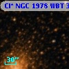 Cl* NGC 1978    WBT    3205