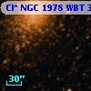 Cl* NGC 1978    WBT    3207