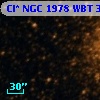 Cl* NGC 1978    WBT    3228