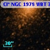 Cl* NGC 1978    WBT    3263