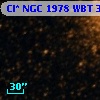 Cl* NGC 1978    WBT    3294