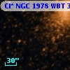 Cl* NGC 1978    WBT    3300